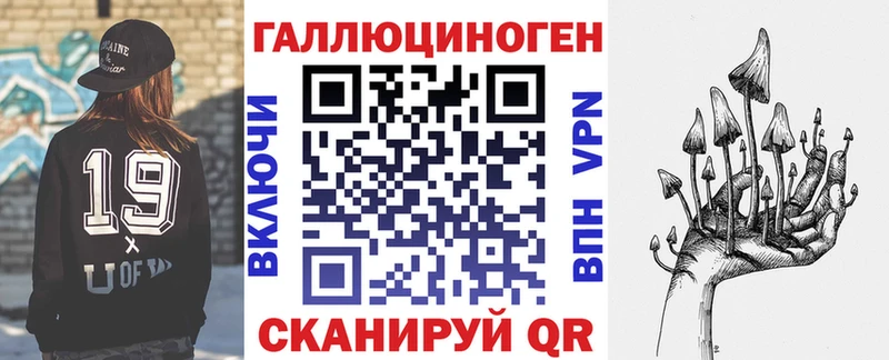 Псилоцибиновые грибы Psilocybe  Новороссийск 